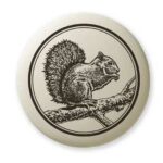 Tree Squirrel